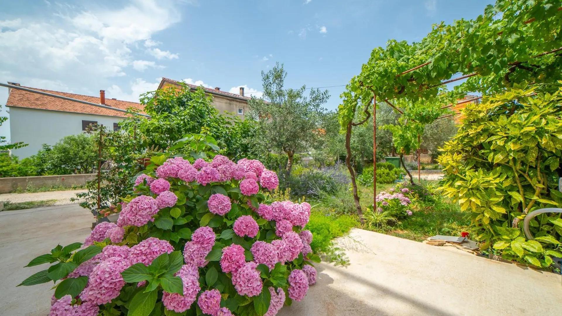 Hotel House Of Mile Zadar
